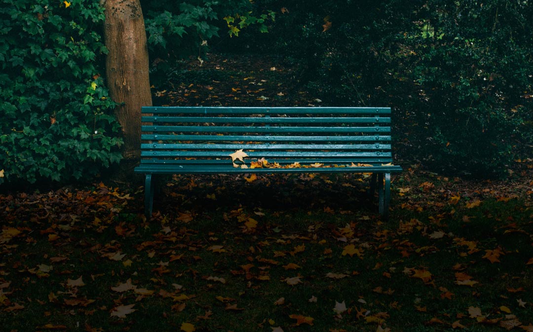 Strangers In The Park